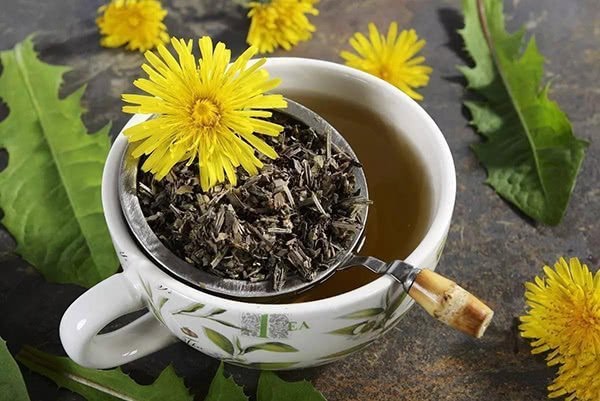 Dandelion-tea-has-great-benefits-but-tastes-a-bit-bitter
